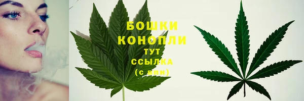 дживик Кодинск